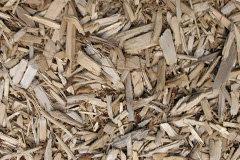 biomass boilers Billacott
